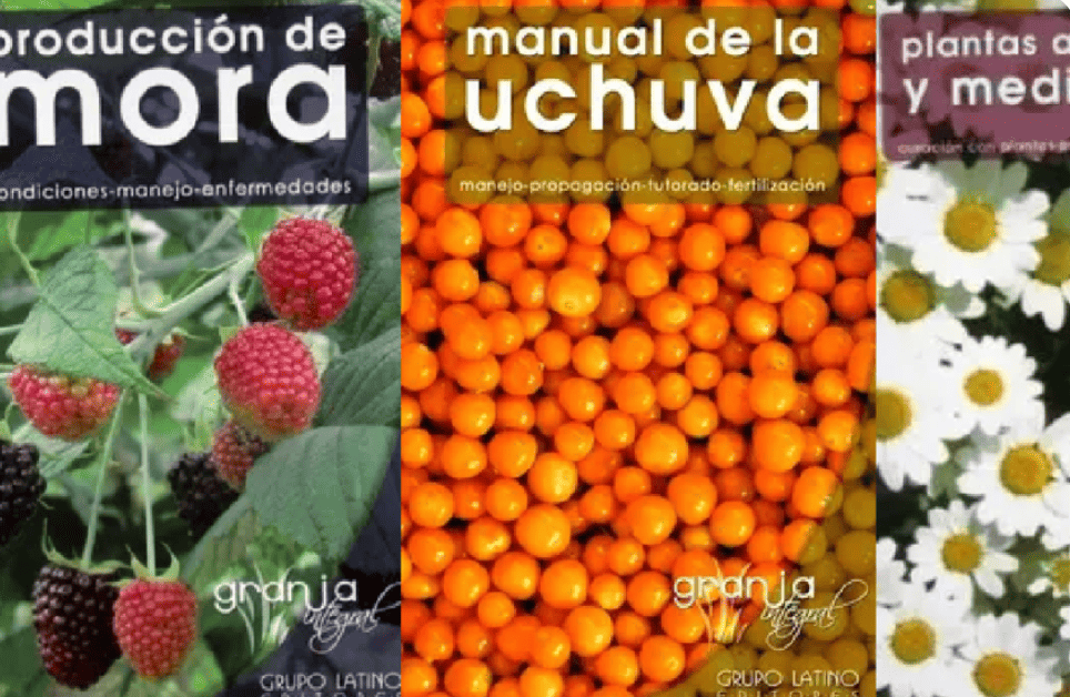 El Arte de Editar: Cómo un Buen Editor Potencia una Historia